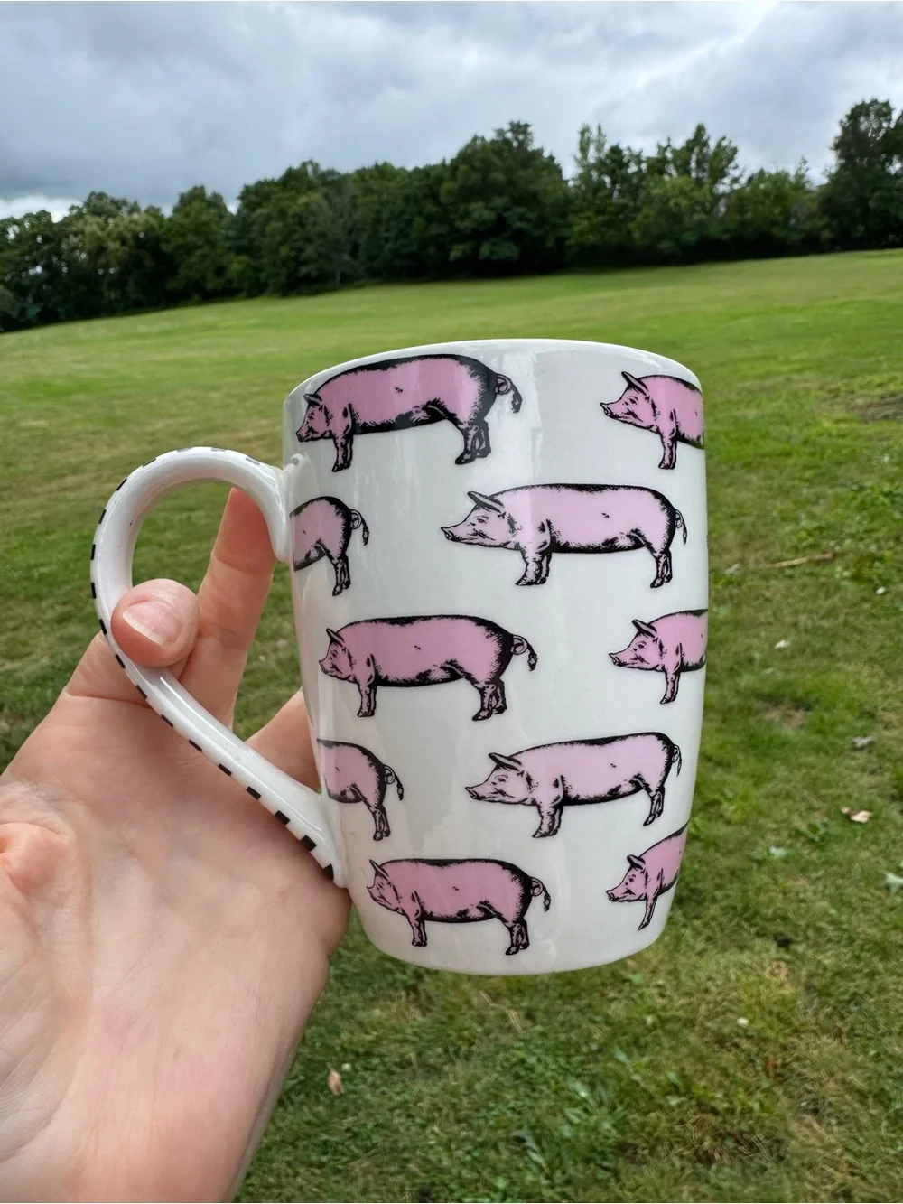 Pier 1 Imports Pig Mug 16 oz.